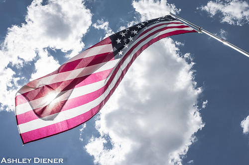 The Donald - Kan bli verdens farligste mann