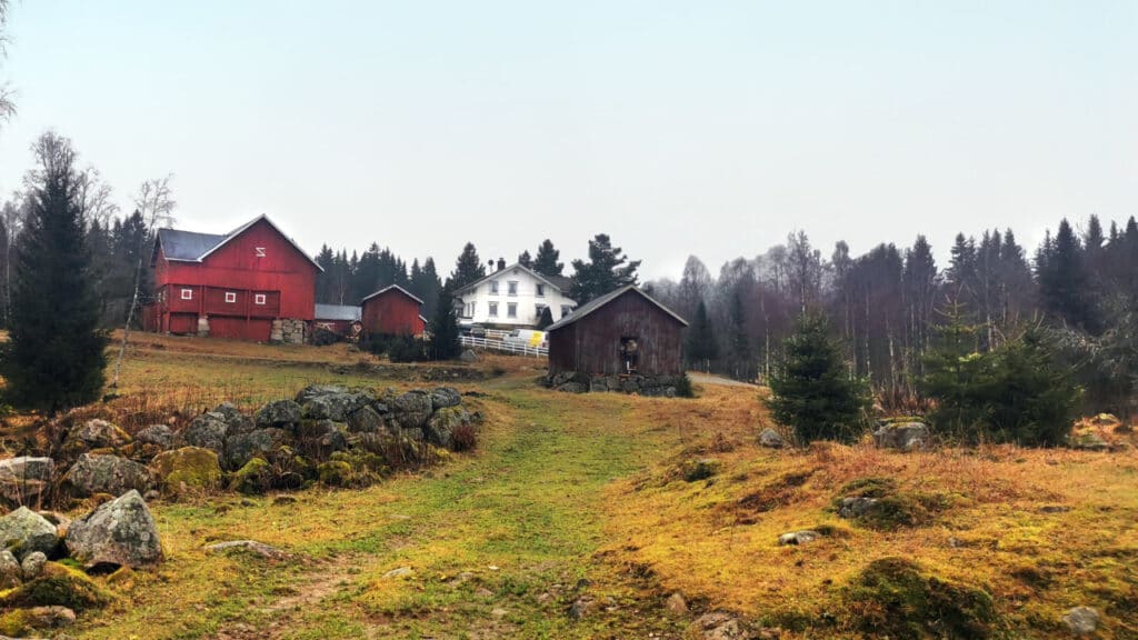 Du kan vinne Farmen - meld deg på her